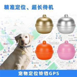狗GPS定位项圈评测 宠物追踪器如何真正守护毛孩子安全？