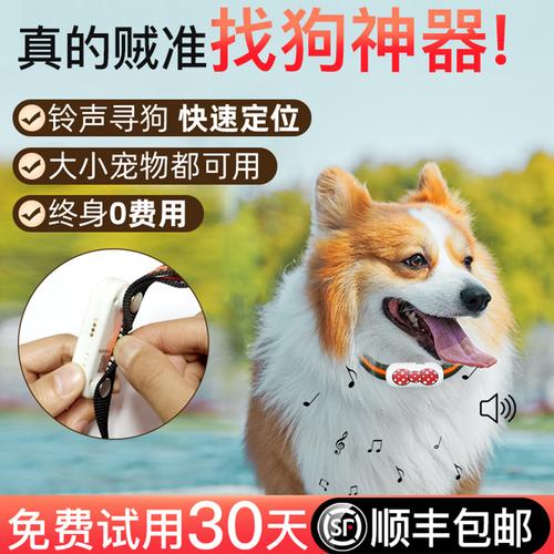 狗狗定位器宠物gps项圈猎犬追踪神器猫咪防丢跟踪